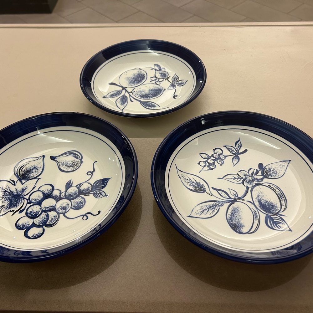 Over and  Back Navy and White Fruit Design Dinner Plate Set NO FLAWS!